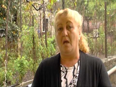 ცხოვრება ორ დანესტილი ოთახში სოციალური დახმარების გარეშე