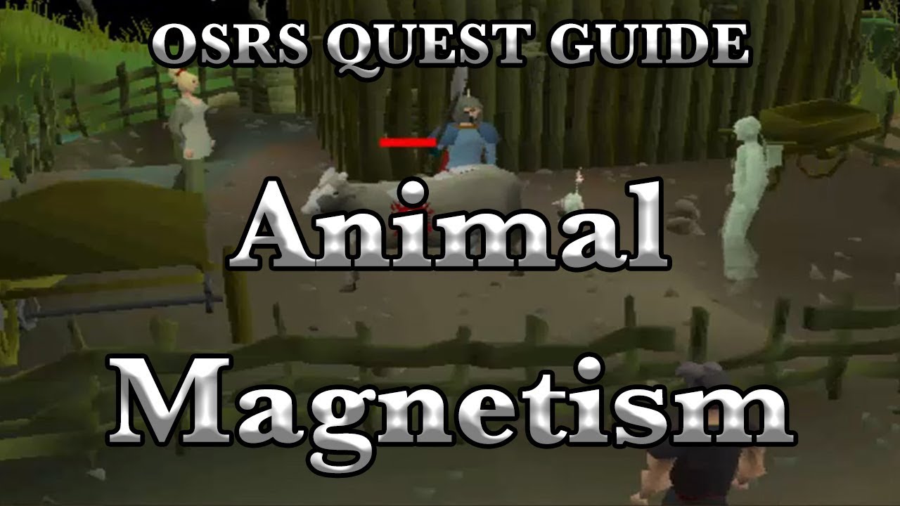falanks om rapport OSRS: Animal Magnetism Quest Guide - RuneScape - YouTube