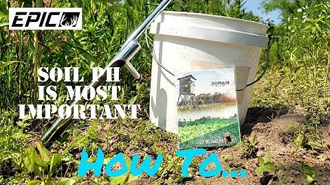 How to Use the Domain Outdoor Instant pH Test Kit