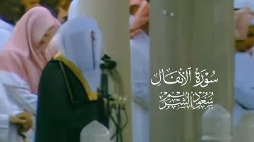 تلاوة من سورة الأنفال من عام ١٤١٧ | الشيخ سعود الشريم