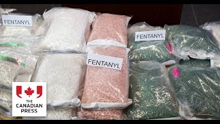 Multi-agency effort led to seizure of large amounts of fentanyl, other drugs: RCMP
