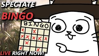 HUNT BINGO CHAT VS CAT EDITION TIEBREAKER!!!!