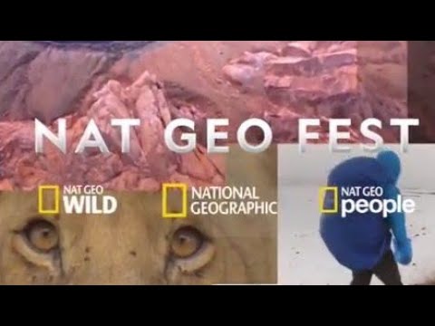 Video: 13 Aretirajo Popotniške Fotografije S Tekmovanja Nat Geo 