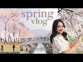 day in the life korea: spring days, DAY6 concert 🌸🍀 seoul VLOG