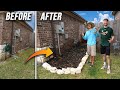 How to create free garden beds easy tutorial  sheet mulching  no lawn 101