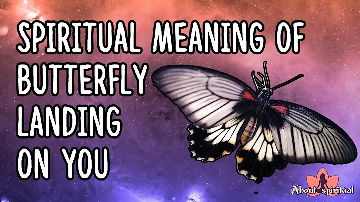 El significado espiritual de una mariposa posándose en ti