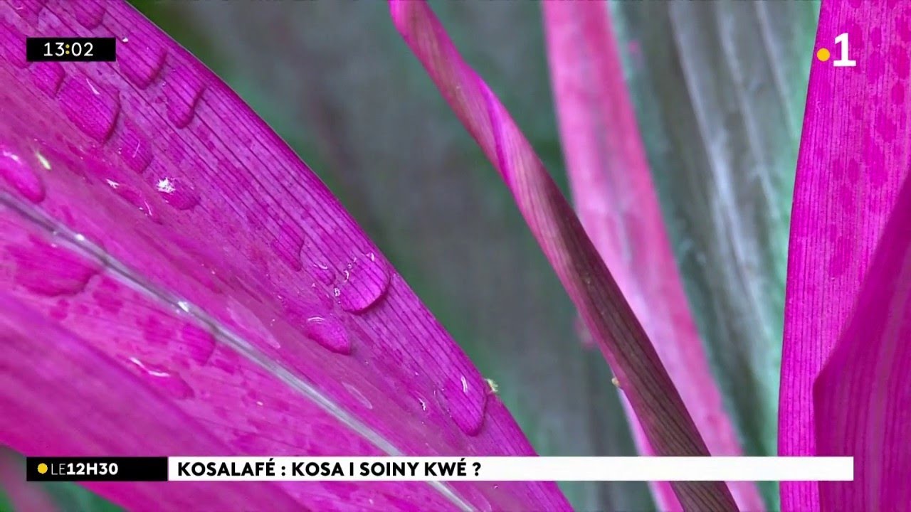 Kosalafé ! Kosa i soiny kwé ? Domann anou Hermina LASSON va domann Raymond Lucas !