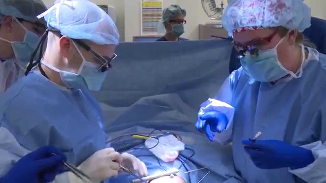 Division of Pediatric Urology, Johns Hopkins Hospital YouTube