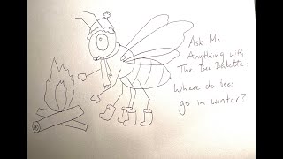 Ask Me Anything with the Bee Babette: where do bees go in winter?