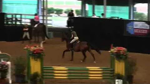 Video of CONDESA ridden by HEIDI HOTTINGER from Sh...