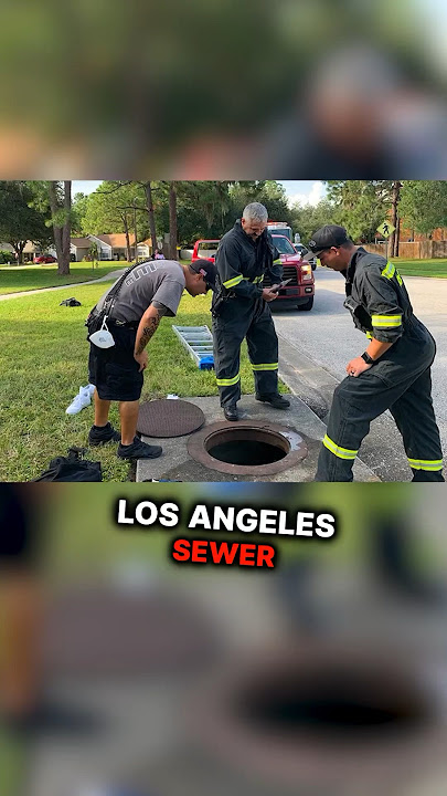 Screams Came from This Sewer in LA😱 #story
