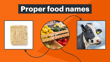Proper Food Names - By Lucid Software