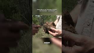 How to Use Rhino Dung for Survival | Survivorman | Les Stroud