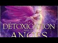 Ebook Transmutation-La Détoxication avec les Anges Doreen Virtue  Livre Audio Mp3 Song