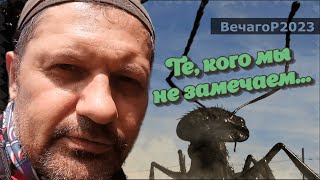 Муравьи с большими яйцами 😁🐜 ТС ВечагоР2023.