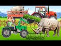 Farmer Driving Tractor To Harvest Grass And Feed The Rhino Vehicles Farm