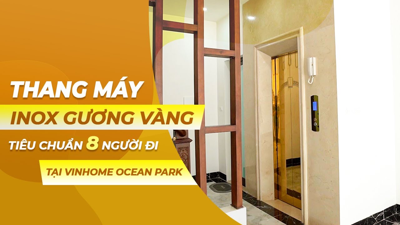 Mẫu Thang Máy Tiêu Chuẩn 8 Người Đi Thiết Kế Inox... - youtube