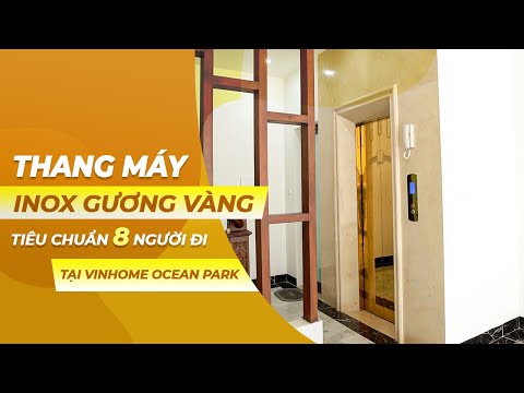 Video Mẫu Thang Máy Tiêu Chuẩn 8 Người Đi Thiết Kế Inox... - youtube