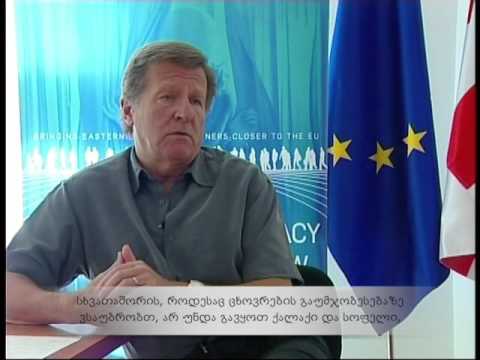ევროკავშირის ელჩი საქართველოში - მოსაზრებები და კომენტარები