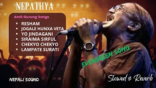 NEPATHYA - EVERGREEN SONG |  Popular Song Collection | Amit Gurung | Slowed & Reverb | Nepali Sound