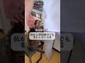 「 猫が苦しむだけ… 」ではありません
