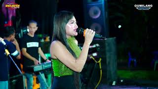 VELOZTA MUSIC - KLEBUS - DEVI FADELLA - HAPPY PARTY TURI BERSATU TAMBAHMULYO GABUS PATI