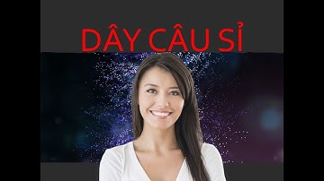 Dây, Cước, Dù Câu Cá Bỏ Sỉ Giá Rẻ