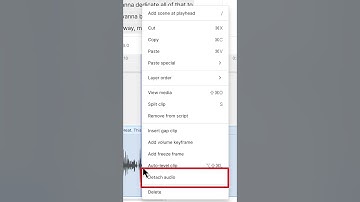 SEPARATE audio from video in Descript Tip 002 #descript #tutorial #descriptstoryboard