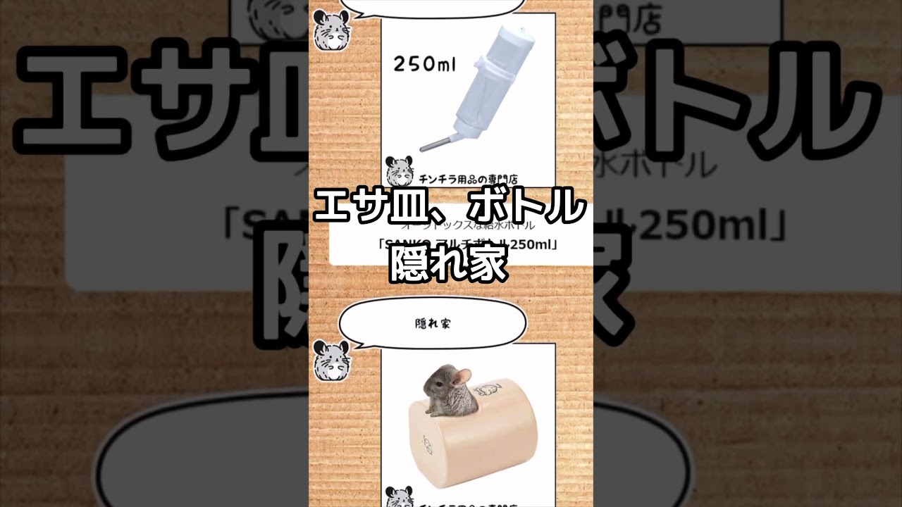 【コゲソ】フラット4点セット【チンチラエンジ】 チンチラの飼育初心者セット02 チンチラの姿がよく見えるケージと基本