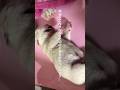 ⑥悲しすぎる別れ...