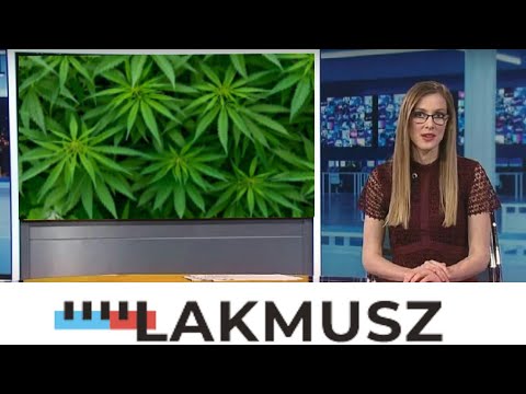 A marihuána-fogyasztás szélsőséges büntetései és a jobboldali álhírekre szakosodott 444-es Lakmusz