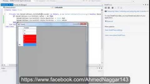 تنسيق البينات بناء على المدخلات datagridview vb net
