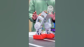 Student Projects - Bipedal Walking Robots  #3dprinting #robot #electronics #robotics #esp32 #arduino