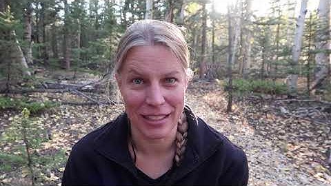 Camping in Bushcraft Shelter, Last Fall Camp  - Channel Update & Outtakes -Colorado Season 2 -Ep#92