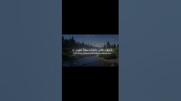 تلاوة خاشعة بصوت الشيخ محمد صديق #المنشاوي في المسجد الأقصى عام 1964م 💚