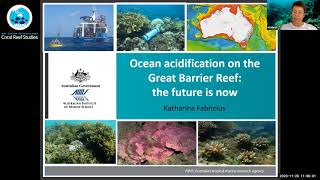 Ocean acidification on the Great Barrier Reef: the future is now- Dr. Katharina Fabricius