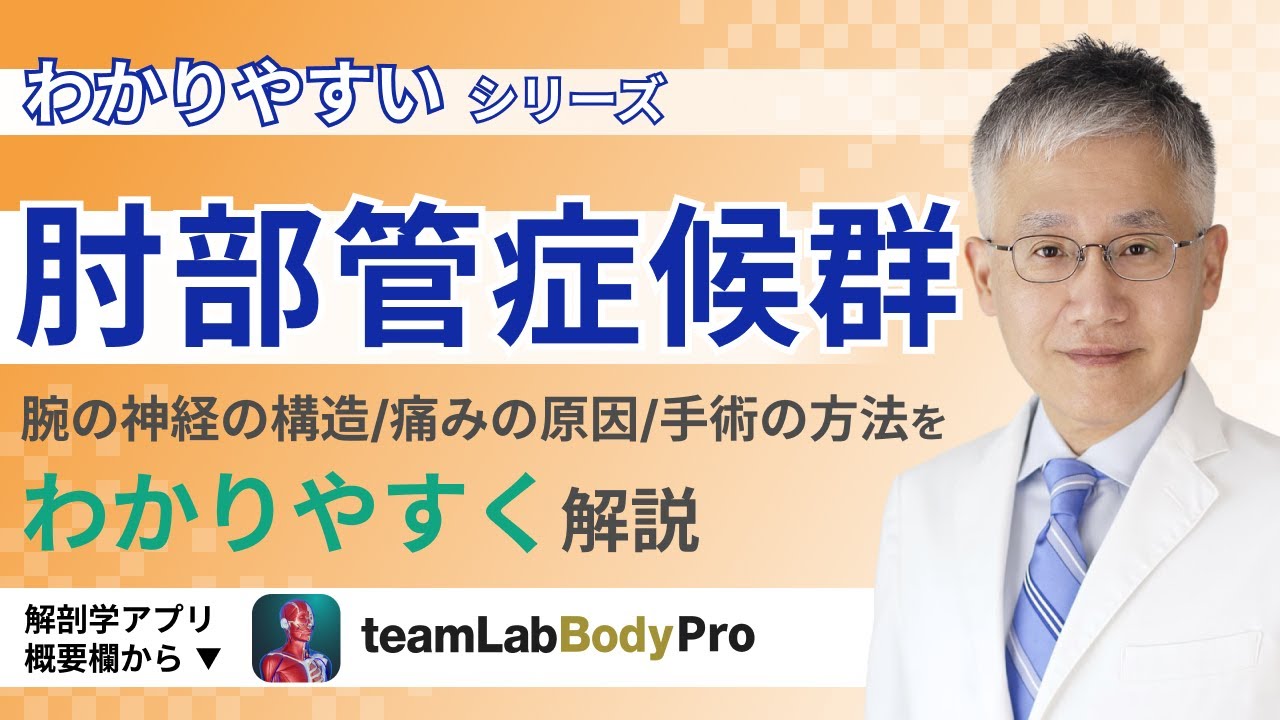 肘部管症候群の話【医師によるわかりやすい解説】