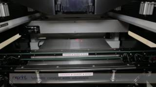 Reprint International Ltd - Mantis 23