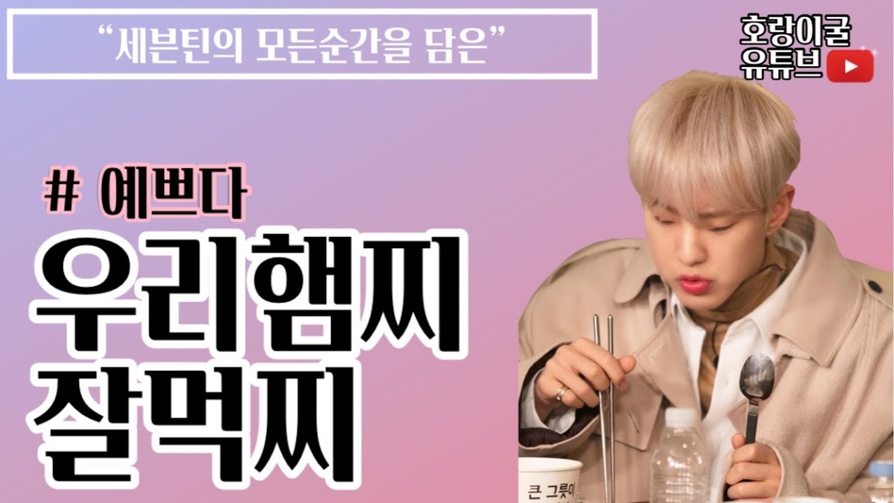 [세븐틴/호시]🐹햄찌 옴뇸뇸 먹방🐹