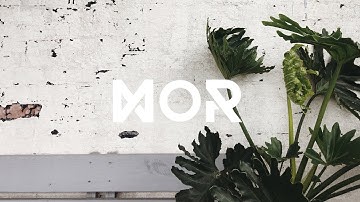 Mr. Bill & Of The Trees - Pish Posh