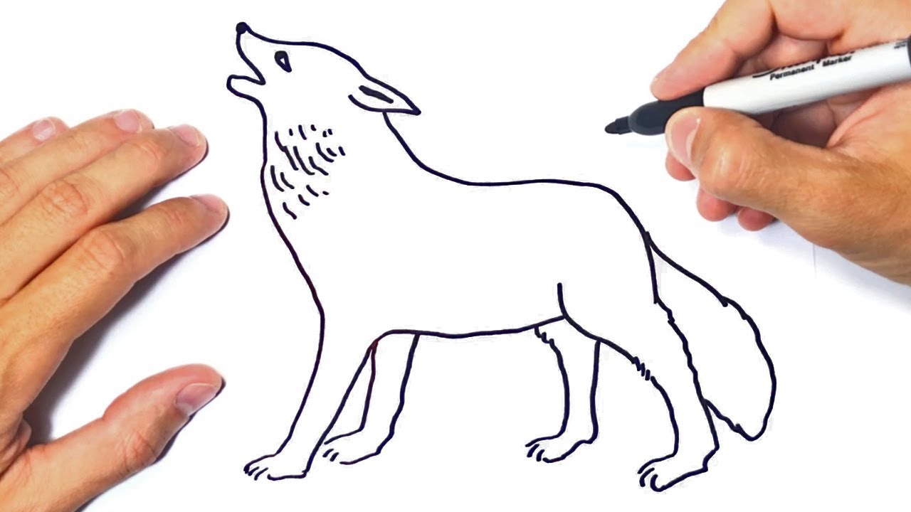 Easy Drawing Of Wolves - Draw Spaces