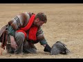Falconry: What To Do If Your Bird Keeps Landing