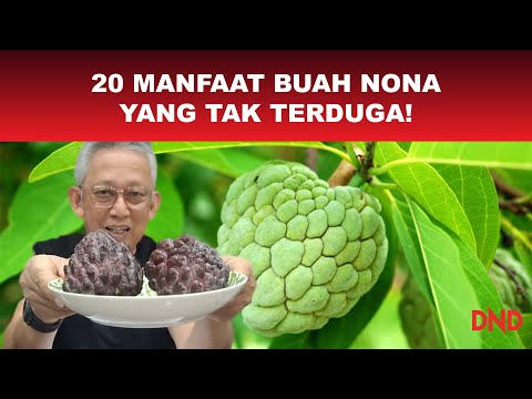 Video: Bolehkah anda mengorek penukar pemangkin?