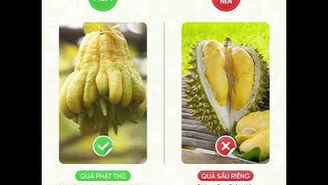 5 đại kỵ khi bày mâm ngũ quả ngày Tết