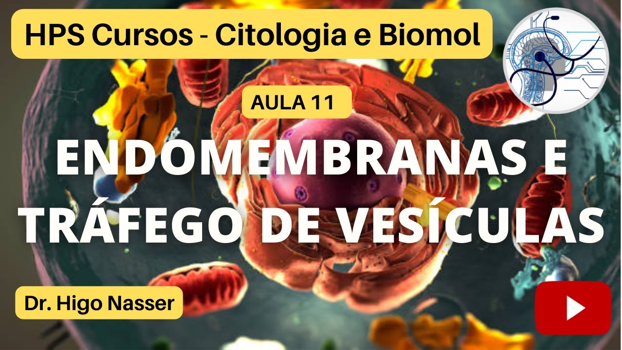AULA 11 - Sistema de endomembranas e tráfego de vesículas #medicina #morfologia #celular #enem