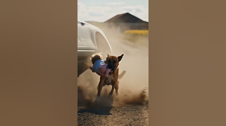 Babytrapped under car, dog lifted up the car to rescue baby, touching, heartwarming, positive energy