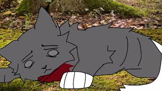 I can’t help falling in love with you - warrior cat of animation