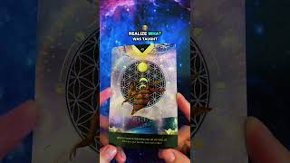 Oracle Card 40: Your Past Does Not Decide Your Future