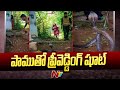 Couple's snake-themed pre-Wedding shoot goes viral