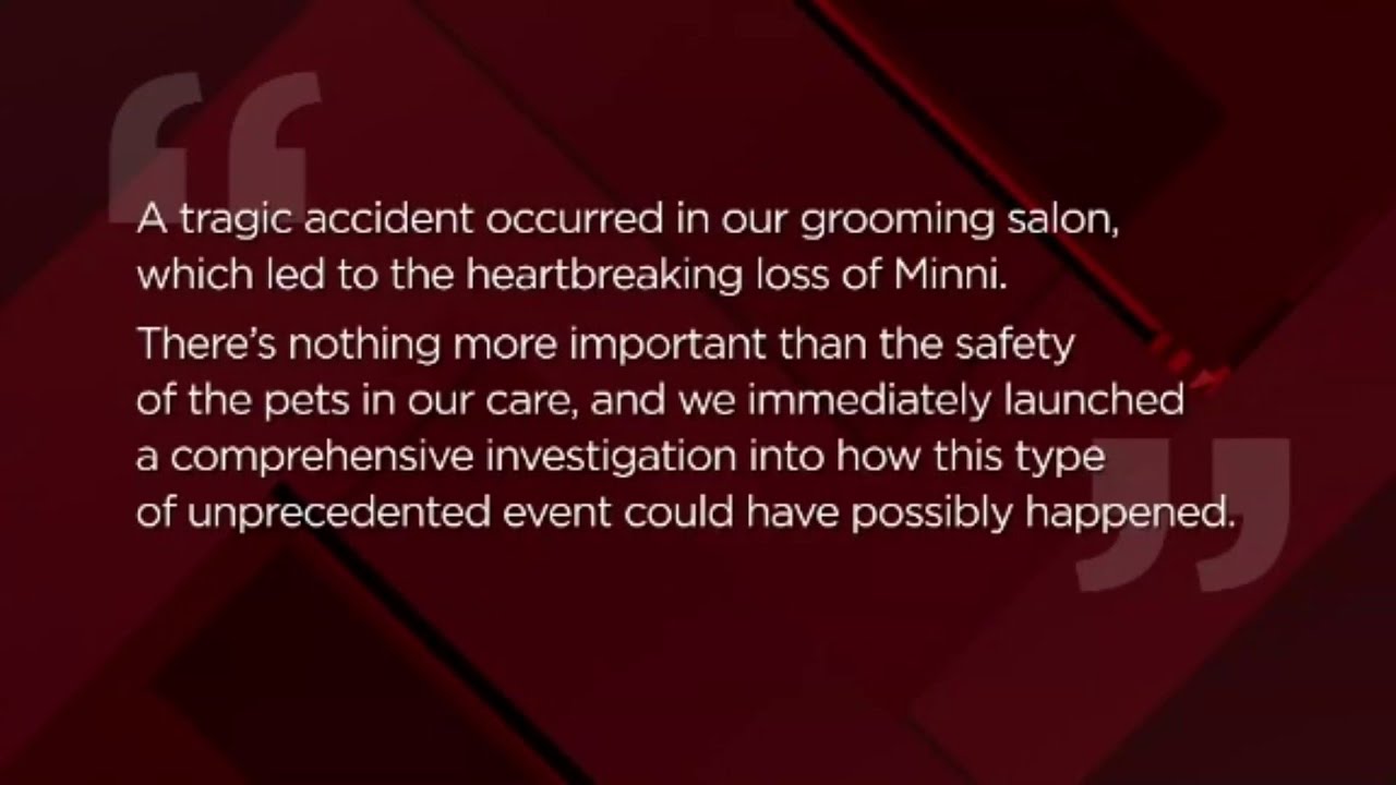 Woman’s dog crushed by PetSmart grooming table YouTube